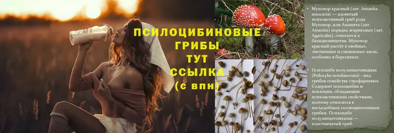 продажа наркотиков  Ишимбай  shop официальный сайт  Галлюциногенные грибы Magic Shrooms 